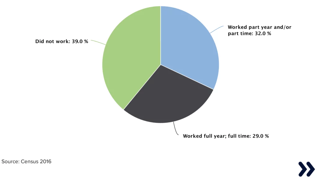 Pie chart with this values: Did not work: 39.0 % Worked part year and/or part time: 32.0 % Worked full year; full time: 29.0 % Source: Cesus 2016